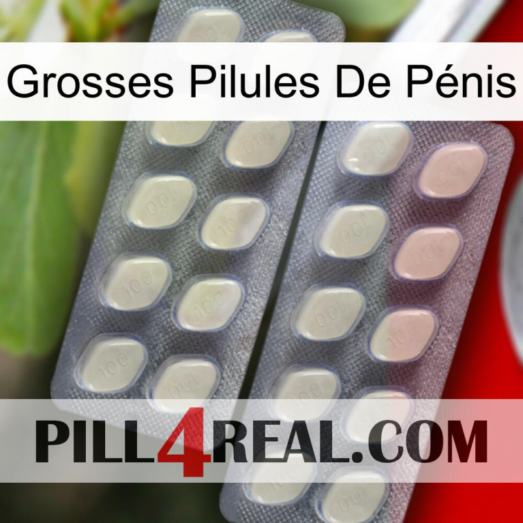 Grosses Pilules De Pénis 07